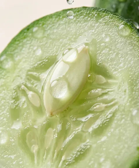 Cucumber