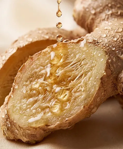 Ginger Root Extract