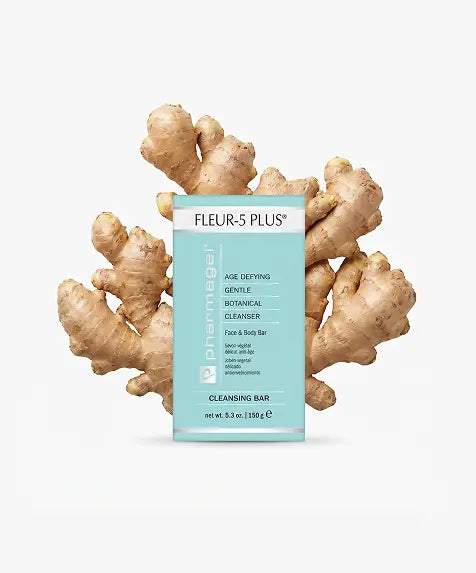Ginger Root Extract