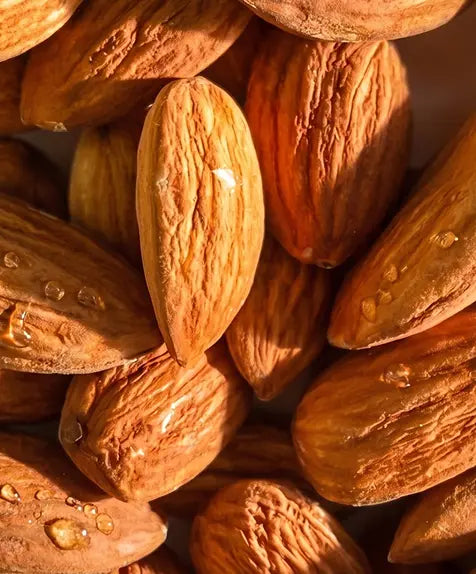 Sweet Almond Oil