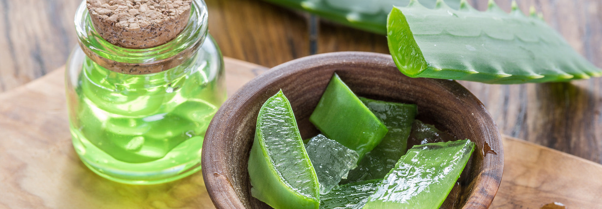 Ingredient Spotlight: Aloe Vera