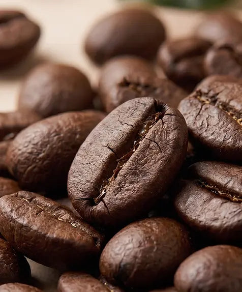 Coffee Seed Oil
