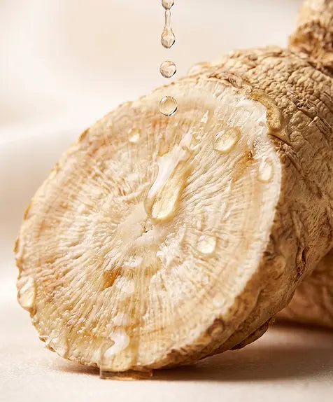 Ginseng Root Extract
