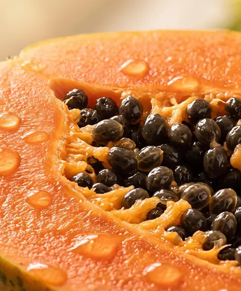 Papaya Fruit Extract